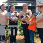 Las «Michis» dos gatitas gemelas que han sacado sonrisas en un colegio de Granada Foto: Las "Michis" dos gatitas gemelas que han sacado sonrisas en un colegio de Granada y se han viralizado en las redes sociales / TN8