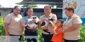 Foto: Las "Michis" dos gatitas gemelas que han sacado sonrisas en un colegio de Granada y se han viralizado en las redes sociales / TN8