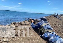 5ta certificación de puertos seguros para Nicaragua Foto: 5ta certificación de puertos seguros para Nicaragua / TN8