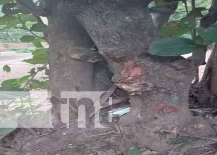 Motociclista ebrio se 