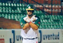 cheslor, cuthbert, delfines, guaira, venezuela,