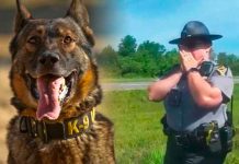 Policía ordenó a un perro atacar a un afroamericano