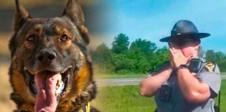 Policía ordenó a un perro atacar a un afroamericano