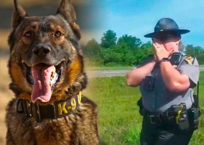 Policía ordenó a un perro atacar a un afroamericano