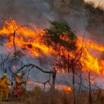 200 personas son evacuadas por «terrorífico incendio forestal» en Suiza Evacuados en Suiza por un importante incendio forestal