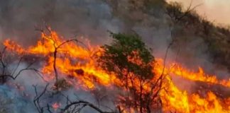 Evacuados en Suiza por un importante incendio forestal