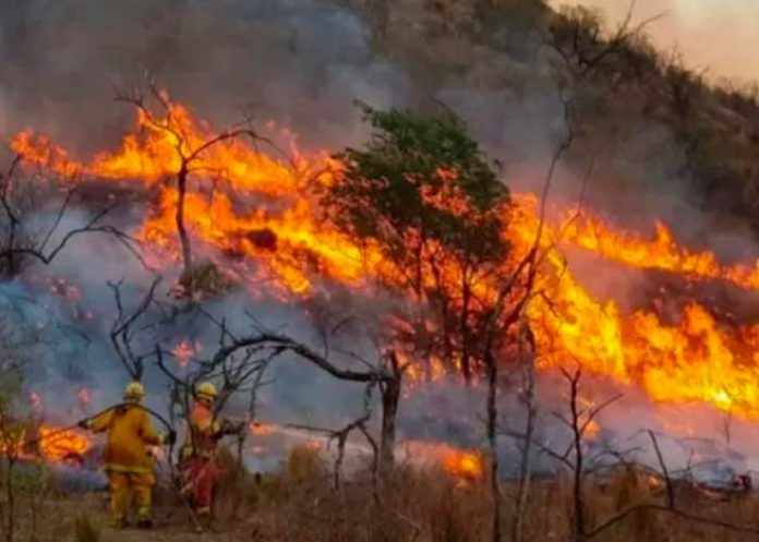 Evacuados en Suiza por un importante incendio forestal