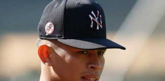 jonathan, loaisiga, beisbol, yankees