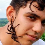 Ivan Explore: El chavalo nica que le tiene rigio a sapos, culebras y más Movimiento Ambientalista Guardabarranco publicó el podcast del famoso tiktoker nicaragüense Iván Explore, reconocido por sus Expediciones.