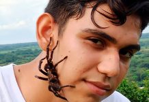 Ivan Explore: El chavalo nica que le tiene rigio a sapos, culebras y más Movimiento Ambientalista Guardabarranco publicó el podcast del famoso tiktoker nicaragüense Iván Explore, reconocido por sus Expediciones.