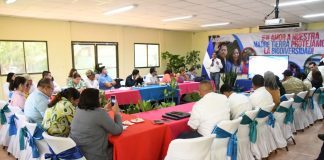 Reunión con la Comisión Interinstitucional para la Protección de las Tortugas Marinas