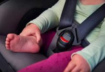 «Desgarrador» Bebé de 10 meses muere al ser olvidado en un carro de Florida Bebé de 10 meses en un auto caliente en Florida