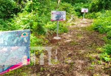 Inauguran el segundo arboretum con mas de 50 especies nativas en Nandaime Nandaime cuenta con dos arboretum