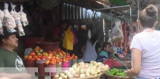 Foto: Productos de la canasta básica en mercados de Nicaragua / TN8