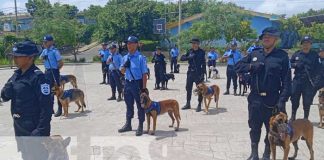 Foto: Graduación de técnica canina en Nicaragua / TN8
