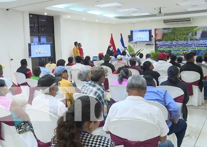 Foto: Conferencia del INTA en Nicaragua / TN8