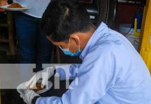 Segunda jornada de desratización llegara a más de 3 mil puntos en Masaya Foto: Jornada de desratización en Catarina, Masaya / TN8
