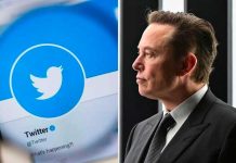 Elon Musk asegura «nos despediremos de todos los pájaros de Twitter» Elon insinúa que podría reemplazar el pájaro de Twitter