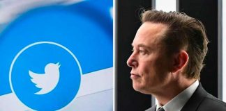 Elon insinúa que podría reemplazar el pájaro de Twitter