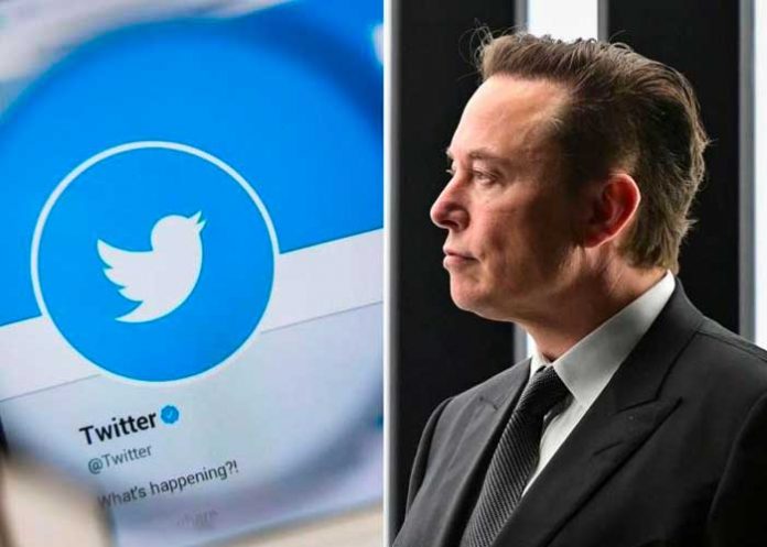 elon1 Elon insinúa que podría reemplazar el pájaro de Twitter