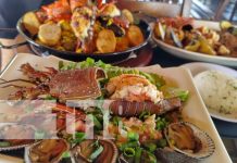 De mesero a dueño de restaurante: Esta es la historia de El Komander Foto: Mariscos El Komander, una delicia en Managua / TN8