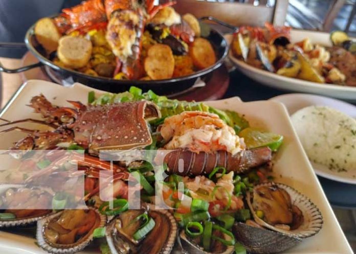 marisco-3 Foto: Mariscos El Komander, una delicia en Managua / TN8