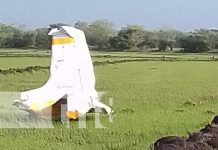 Foto: Accidente con avionetas en Malacatoya, Granada / TN8