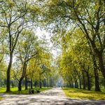 Pareja sin pudor es captada en una sola «la-la-la» en plena calle (VIDEO) Pareja tiene relaciones en plena vía pública