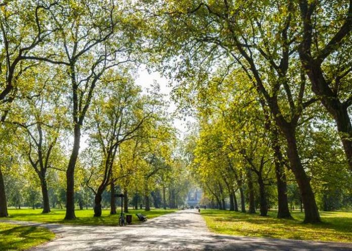 Pareja tiene relaciones en plena vía pública