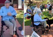 Cumplió un siglo de vida con el amor de 200 perritos