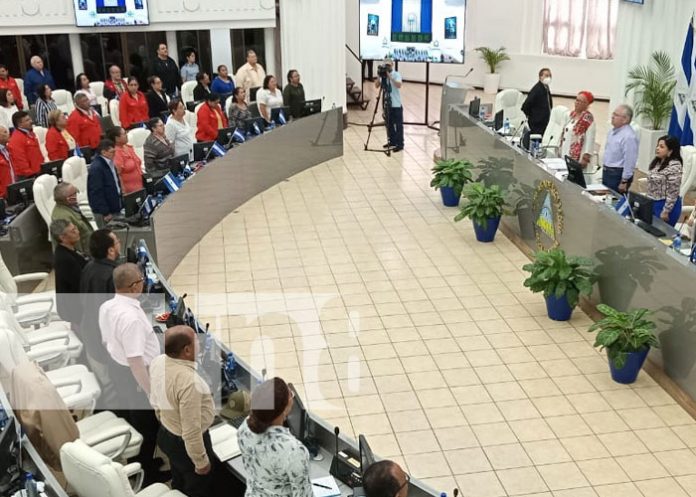 Foto: Sesión parlamentaria en la Asamblea Nacional / TN8