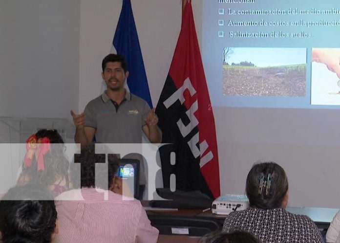 Foto: Manejo y producción de abonos en Nicaragua con el INTA / TN8