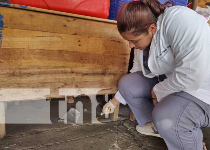 Foto: Aplicación de BioRat en centros de compras de Nicaragua / TN8