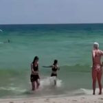 Bañistas huyen aterrados por presencia de tiburones en Estados Unidos