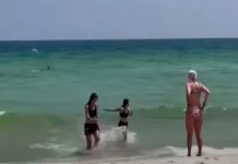 Bañistas huyen aterrados por presencia de tiburones en Estados Unidos