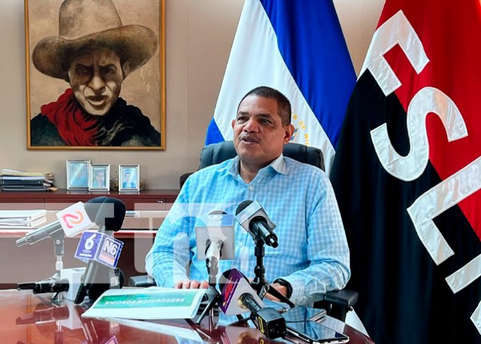 Sector avícola y porcina presentan un importante avance en la producción