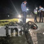 Irresponsabilidad de dueños de animales es peligro en carreteras de Jalapa Foto:Irresponsabilidad de dueños de animales es peligro en carreteras de Jalapa / TN8