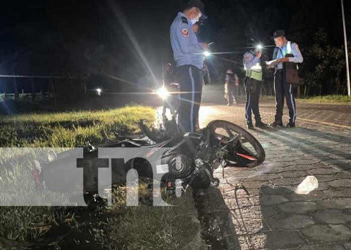 Foto:Irresponsabilidad de dueños de animales es peligro en carreteras de Jalapa / TN8