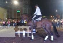 ¡Noche de Gala! Realizan «Exhibición Ecuestre» en Granada Foto: ¡Noche de Gala! Realizan "Exhibición Ecuestre" en Granada / TN8