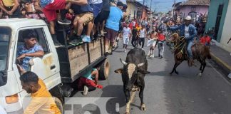 Foto: Espectacular tope de toros en Granada / TN8