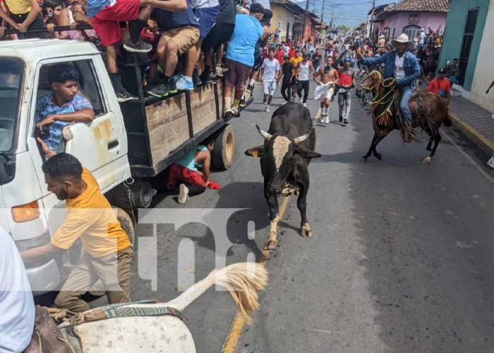 Foto: Espectacular tope de toros en Granada / TN8