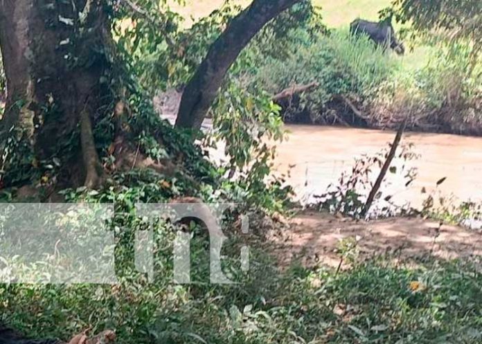 Foto: Policía investiga muerte homicida en Jalapa / TN8