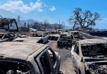 En Hawái sube a 96 cifra de muertos por incendios forestales En Hawái sube a 96 cifra de muertos por incendios forestales