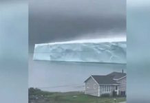 Colosal iceberg es captado navegando en Canadá (VIDEO) Colosal iceberg es captado navegando en Canadá (VIDEO)