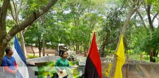 Un nuevo zoo criadero de garrobos negros fue inaugurado en Nandaime