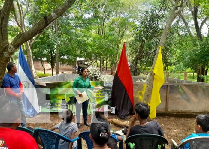 1 Un nuevo zoo criadero de garrobos negros fue inaugurado en Nandaime