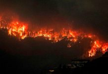 Foto: Columbia Británica en Llamas: Estado de Emergencia por Incendios / Cortesía
