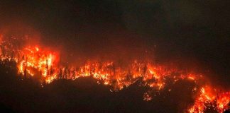 Foto: Columbia Británica en Llamas: Estado de Emergencia por Incendios / Cortesía