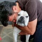 Eugenio Derbez, confirma en redes la muerte de su perrita, Fiona Eugenio Derbez, confirma en redes la muerte de su perrita, Fiona
