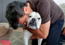 Eugenio Derbez, confirma en redes la muerte de su perrita, Fiona